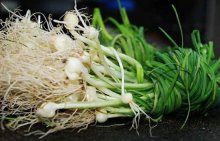 吃野葱头有什么好处?你所不知道的野葱的3大功效!