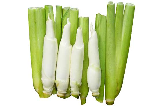 8b8b9d1f1d34b46a6ed29f74ee603d92.jpg