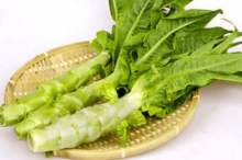怎么使得莴苣种子快速发芽?正确高效的莴苣种子催芽方法介绍!