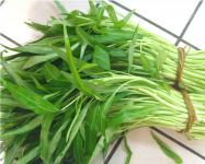 野生竹叶菜的副作用你知道吗?竹叶菜这些功效作用也不容忽略!