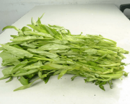 竹叶菜的茎和叶能吃吗?竹叶菜的搭配推荐和禁忌有哪些?