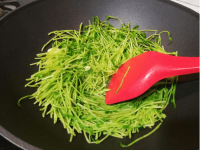 水培豌豆苗种植方法有哪些? 了解了这些方法你就可以种植了!