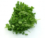 豆瓣菜的种植时间是多久？掌握这些时间你可以轻松种植豆瓣菜！