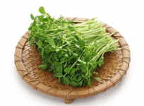 豌豆苗凉拌竟然这么好吃!这些凉拌豌豆苗的料理方法你知道吗?