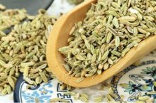 茴香苗有这么多功效与作用你了解吗?最全茴香苗功效作用介绍！