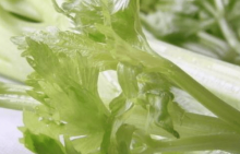 芹菜的叶子可以吃吗？你吃过芹菜的叶子吗？