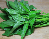 竹叶菜是空心菜吗?竹叶菜怎么挑选?掌握了这个技巧不怕挑不到好竹叶菜!