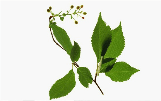 图片6.png 图片6.png