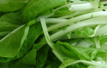 小白菜有什么的功效？多吃小白菜让你的身体更健康！