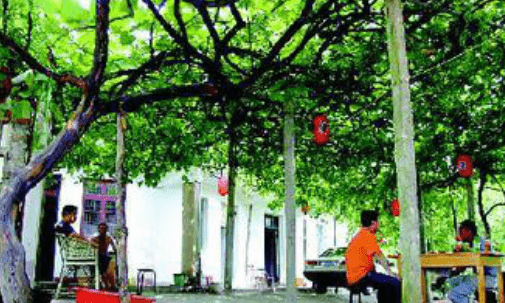QQ截图20180911095047.png