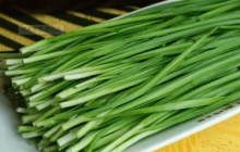 韭菜怎么种？怎么才能得到健康美味的韭菜呢？