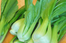 油菜怎么养？怎么才能让油菜更旺盛？