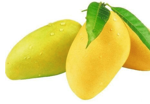 blob.png