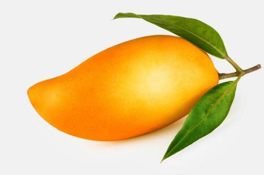 blob.png