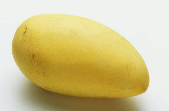 blob.png