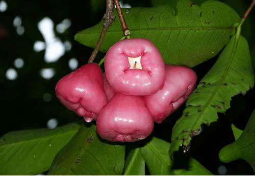 blob.png blob.png