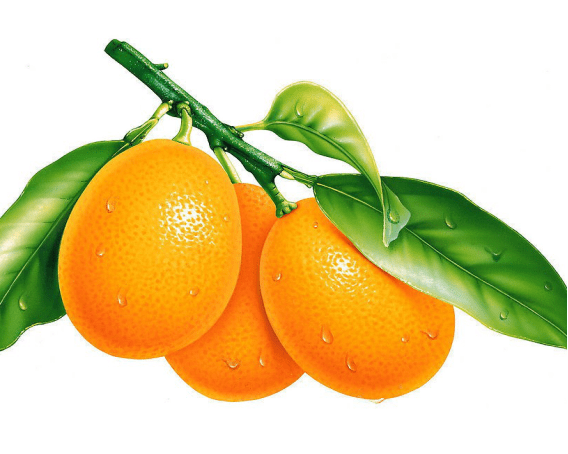 blob.png blob.png
