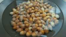 白果要煮多久才不会有毒性?看完才知道白果要这样煮!