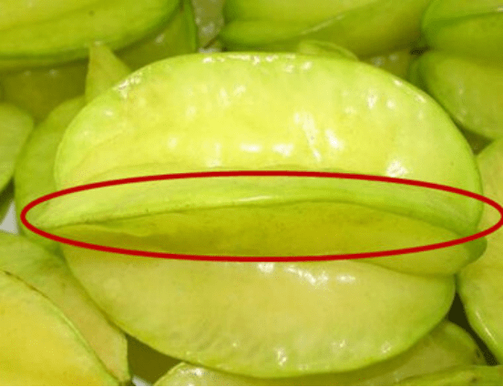 blob.png blob.png