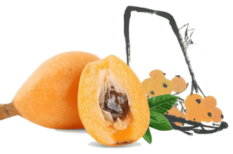 blob.png blob.png