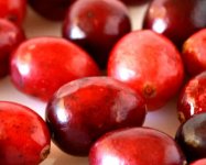 蔓越莓对月经有什么影响?吃了蔓越莓真的会导致月经推迟吗?
