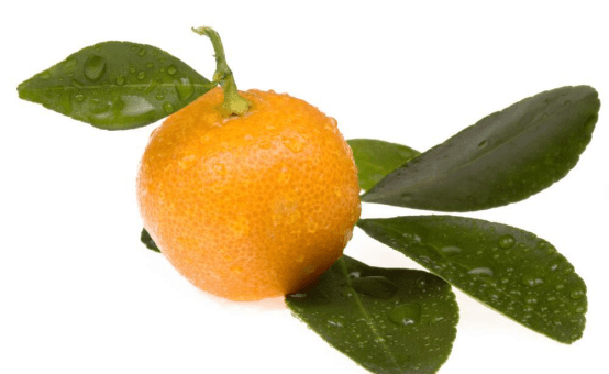 blob.png blob.png