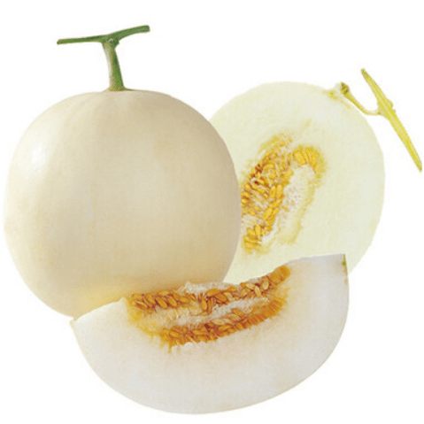blob.png blob.png