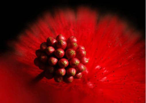 blob.png blob.png