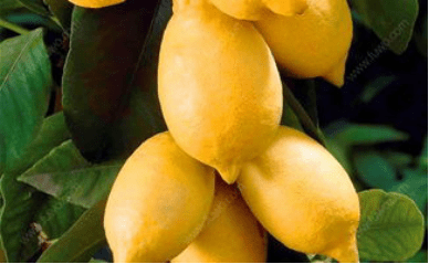 blob.png blob.png