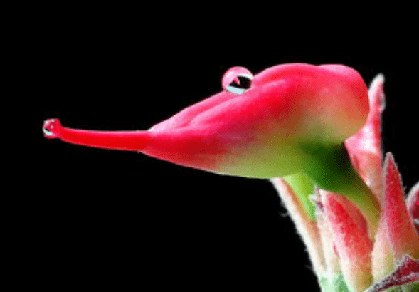 blob.png blob.png