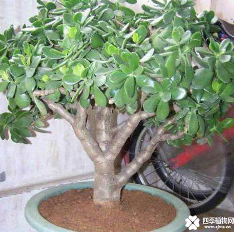 11_副本.jpg 11_副本.jpg