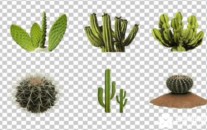 image.png image.png