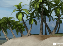 棕榈树与椰子树的区别有哪些？从这几点就可以分辨它们啊!
