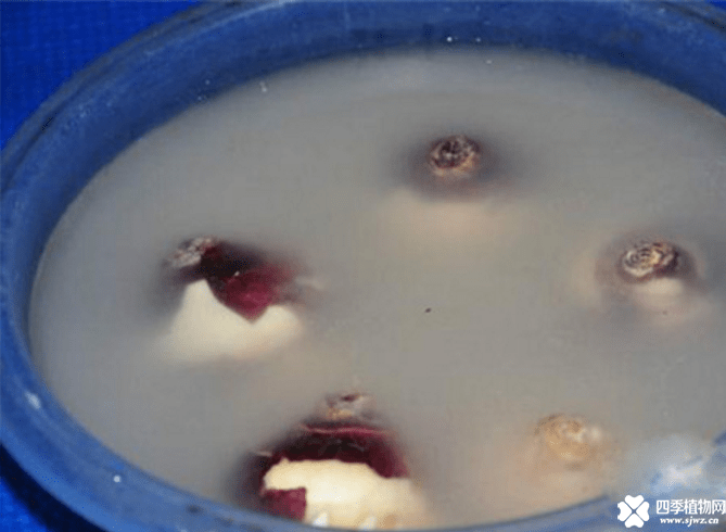 blob.png
