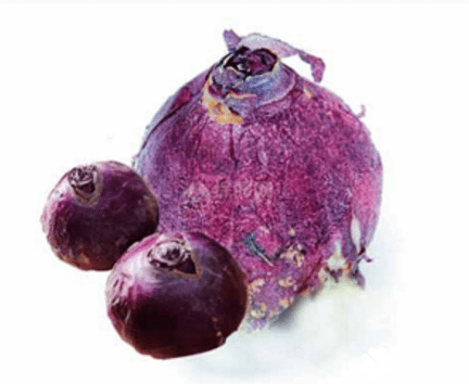 blob.png