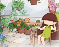 这6种花超级抗冻，冬天照样开爆盆，一开就是俩月！