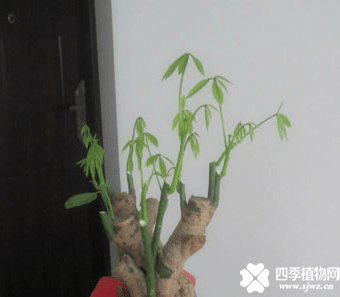 QQ图片20180114111414.png