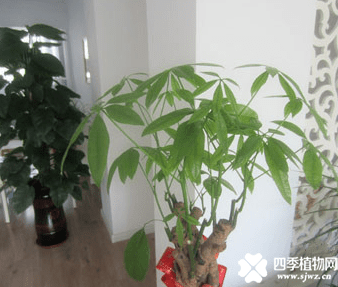 QQ图片20180114111430.png