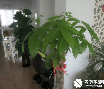 QQ图片20180114111444.png