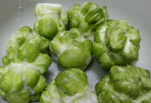 芥菜头图片大全！芥菜头高清图片！