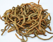 薇菜图片大全！薇菜高清图片欣赏！