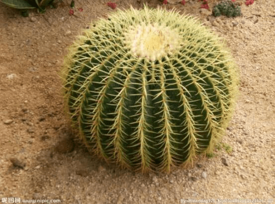 image.png image.png