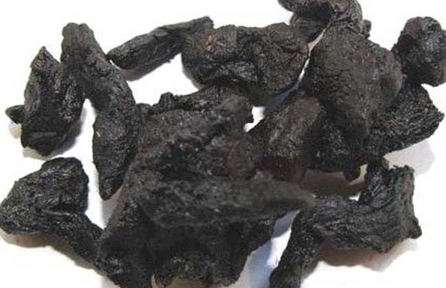 熟地黄的功效与作用