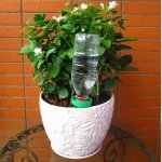 离家后让植物自动补水，准备2个塑料瓶和塑料袋就行了！