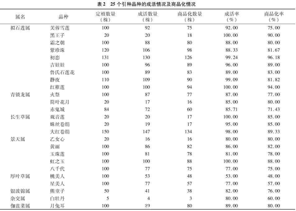 昆明多肉露养实验