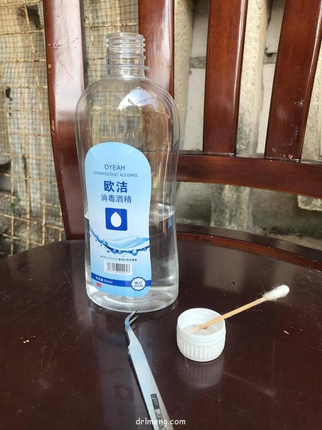 棉签+酒精处理蚧壳虫和枯叶示范图