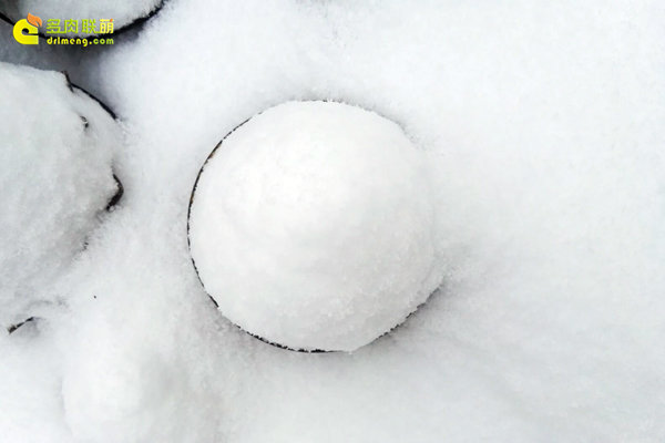 陕西西安经历冰雪的多肉植物-14