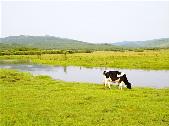 夏天美丽风景