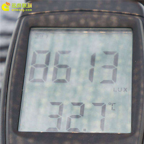 多肉植物夏天使用遮阳网效果实验-9