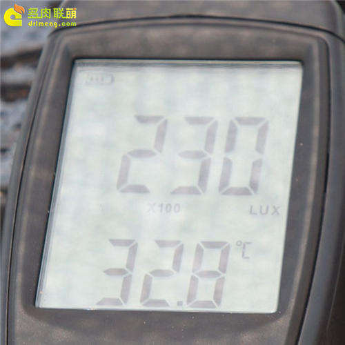 多肉植物夏天使用遮阳网效果实验-8